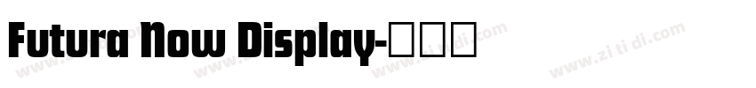 Futura Now Display字体转换 Futura Now Display字体转换